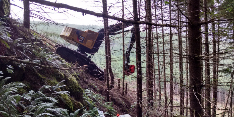 Steep wooded slope and difficult terrain access