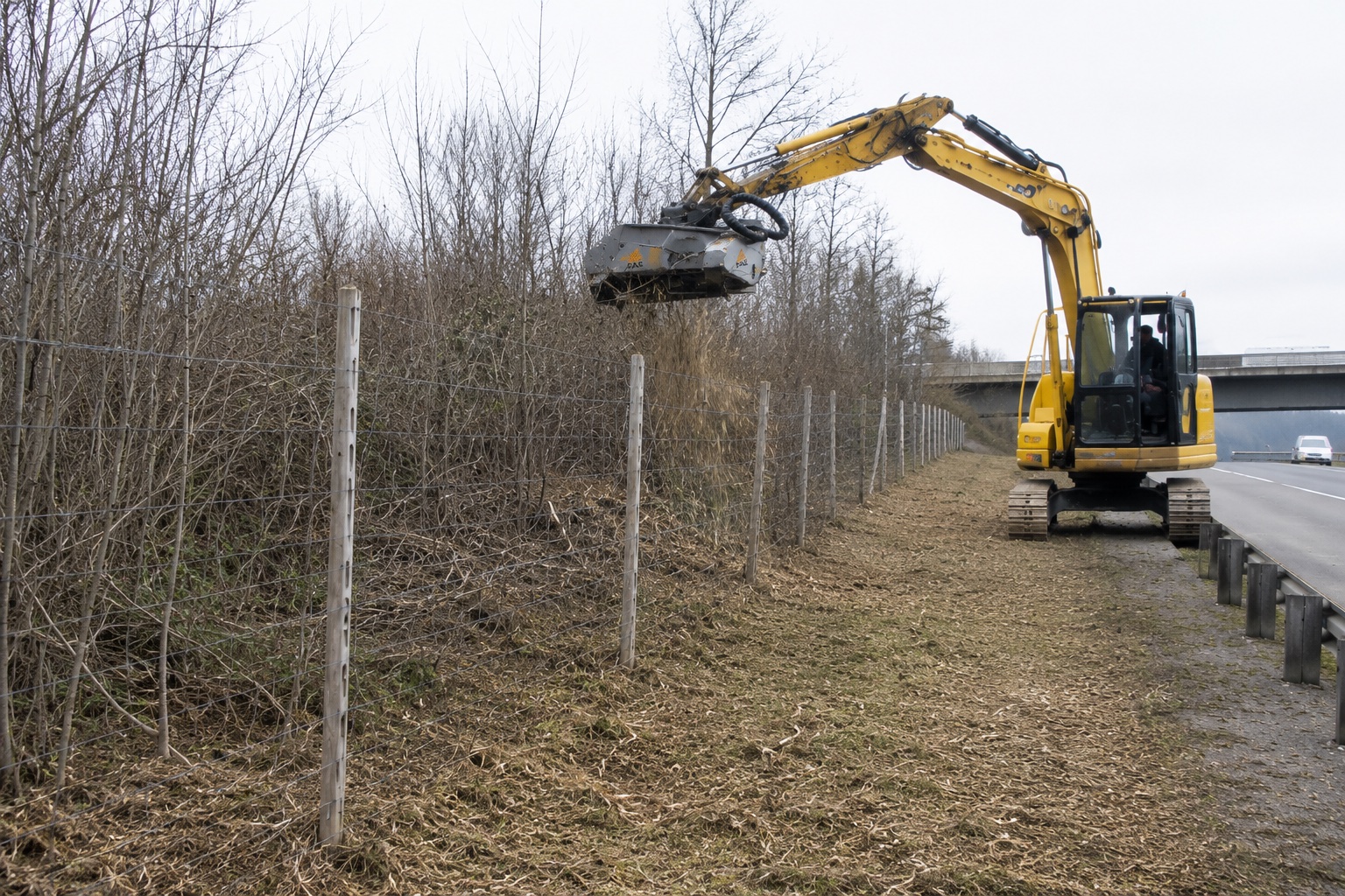 Mulching equipment clearing along a fence line